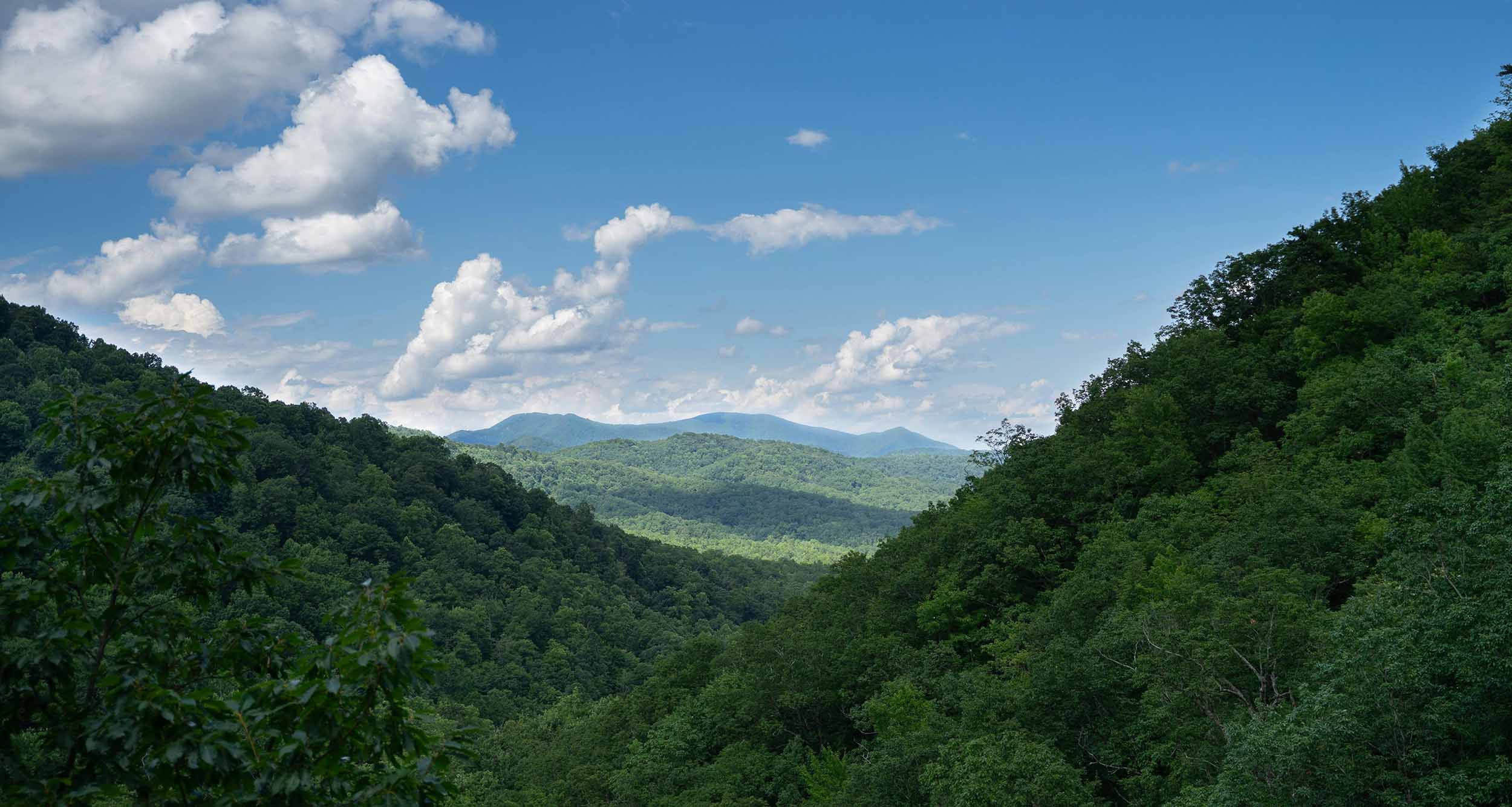 Escape Blue Ridge: A Guide to Mountain Adventure and Relaxation - Apex ...